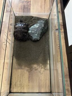 Korytnačka s Akváriom 45l svetlami aj potravou