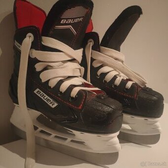 Bauer korčule Y9