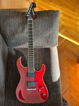 Washburn X50 ProFE gitara