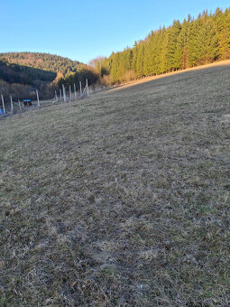 Predaj orná pôda Bodiná 3830 m2 - 1