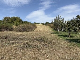 Na predaj veľká záhrada vo  Zvončíne