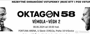 Oktagon 2x vstupenka vedľa seba160€