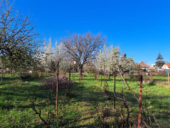 Záhrada s rodinným domom 1100 m2