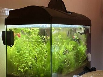 Akvárium cca 37,5L