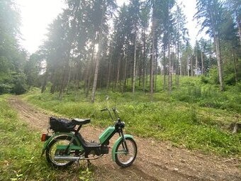Babetta 210