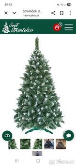 Vianočný stromček borovica 150 cm