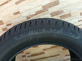 Kormoran celoročne pneu