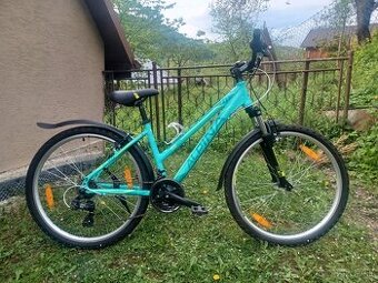 Bicykel Alpina