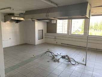Kuchyňa/pripravovňa jedál na rozvoz 132,58m2, Kopčianska-Pet