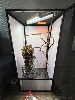 Terarium pre chameleóny