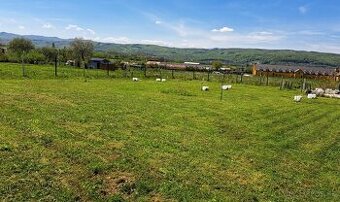 PRENÁJOM záhrady na Solivare