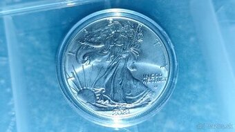 American silver Eagle