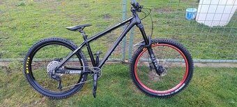 Dartmoor Hornet