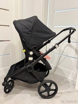 Bugaboo fox cub