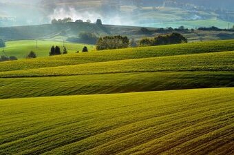 Barca – 6.688 m2 POZEMKY v pozemkových úpravách