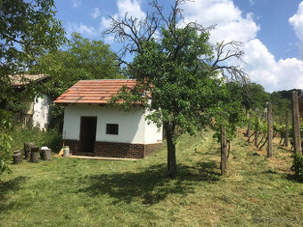 Predám záhradu / vinicu v kat. území Levice časť Staré Levic