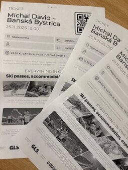 Michal David koncert BB