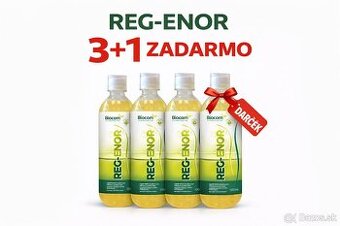 REGENOR 3+1 AKCIA