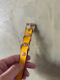 Obojok z pravej kože pre psa