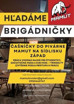 Čašníčka / Barmanka