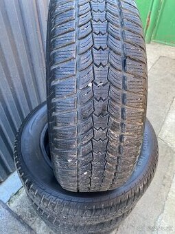 215/65 r16 zimne