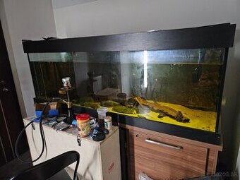 Predám akvárium