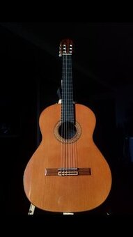 Španielska gitara koncertná