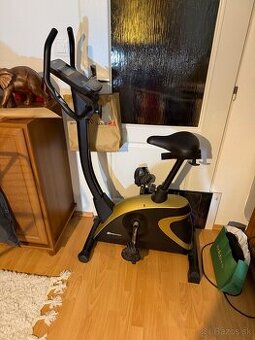 Elektromagnetický rotoped HS-005H Host zlatý