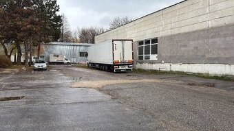 Haly na prenájom - 1