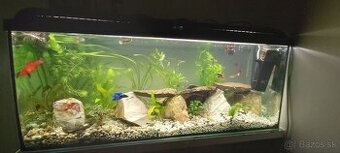 Akvarium 120l