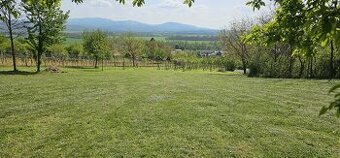 Vinica a sad Hrkovce
