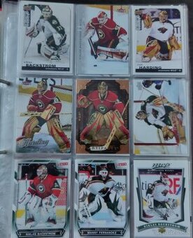 Hokejové kartičky Minnesota Wild
