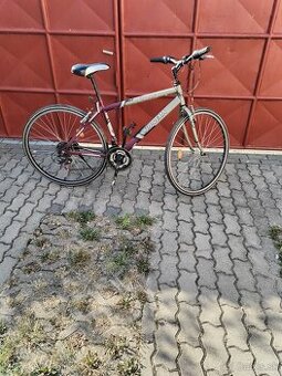 bicykel suprema