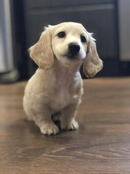 Dopyt