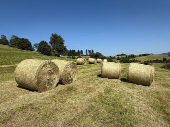 Ponúkam na predaj seno