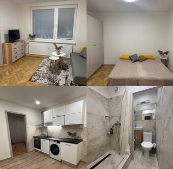 Jednoizbový byt v centre Levíc