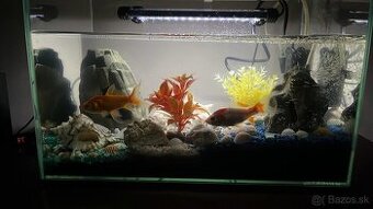Akvárium + príslušenstvo