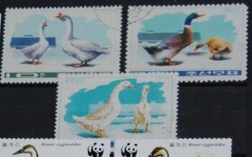 Poštové známky - Vtáčia ríša 259