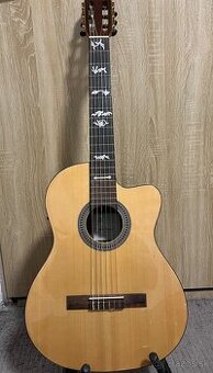 Gitara ElektroAkusticka