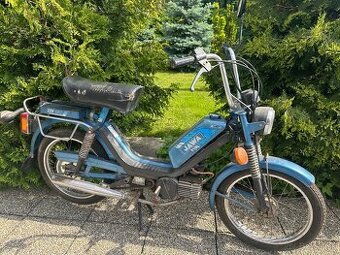 Babetta 225