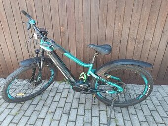 E-bike Crussis
