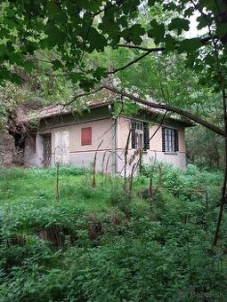 Predaj dom/chalupa na samote v lese