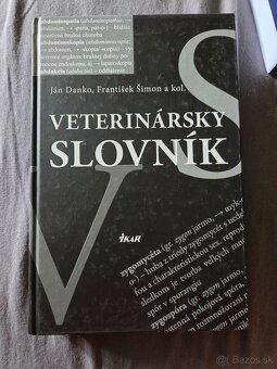 Slovnik