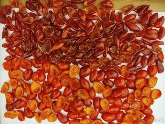 Vyčistené a vysušené šípky