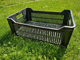 Plastova prepravka na ovocie 25L