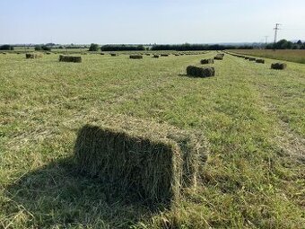 predám seno malé hranaté balíky