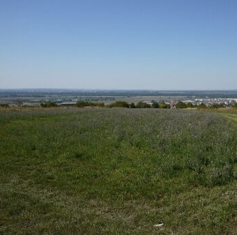 Ponúkame na predaj stavebný pozemok v Skalici