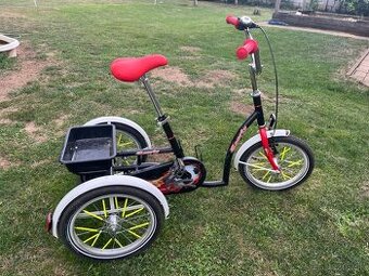 Detská rehabilitačna trojkolka