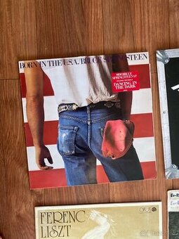 Lp platne