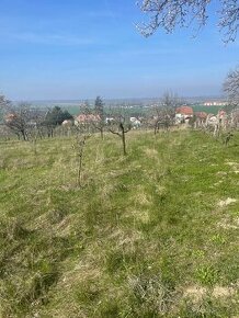 Pozemok v Skalici EXKLUZÍVNE LEN U NÁS